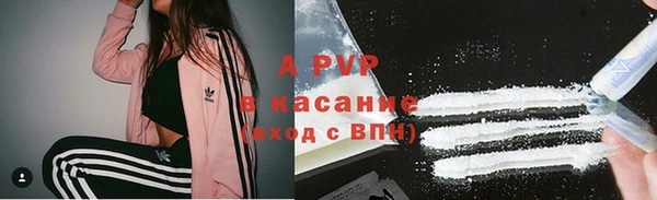 прущие грибы Алексеевка