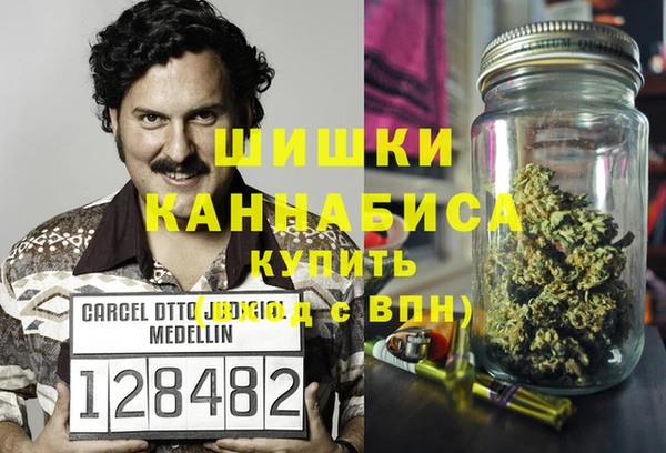 шишки Алзамай