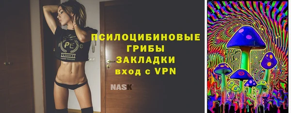 дмт Алексин
