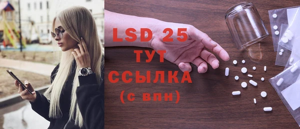 прущие грибы Алексеевка
